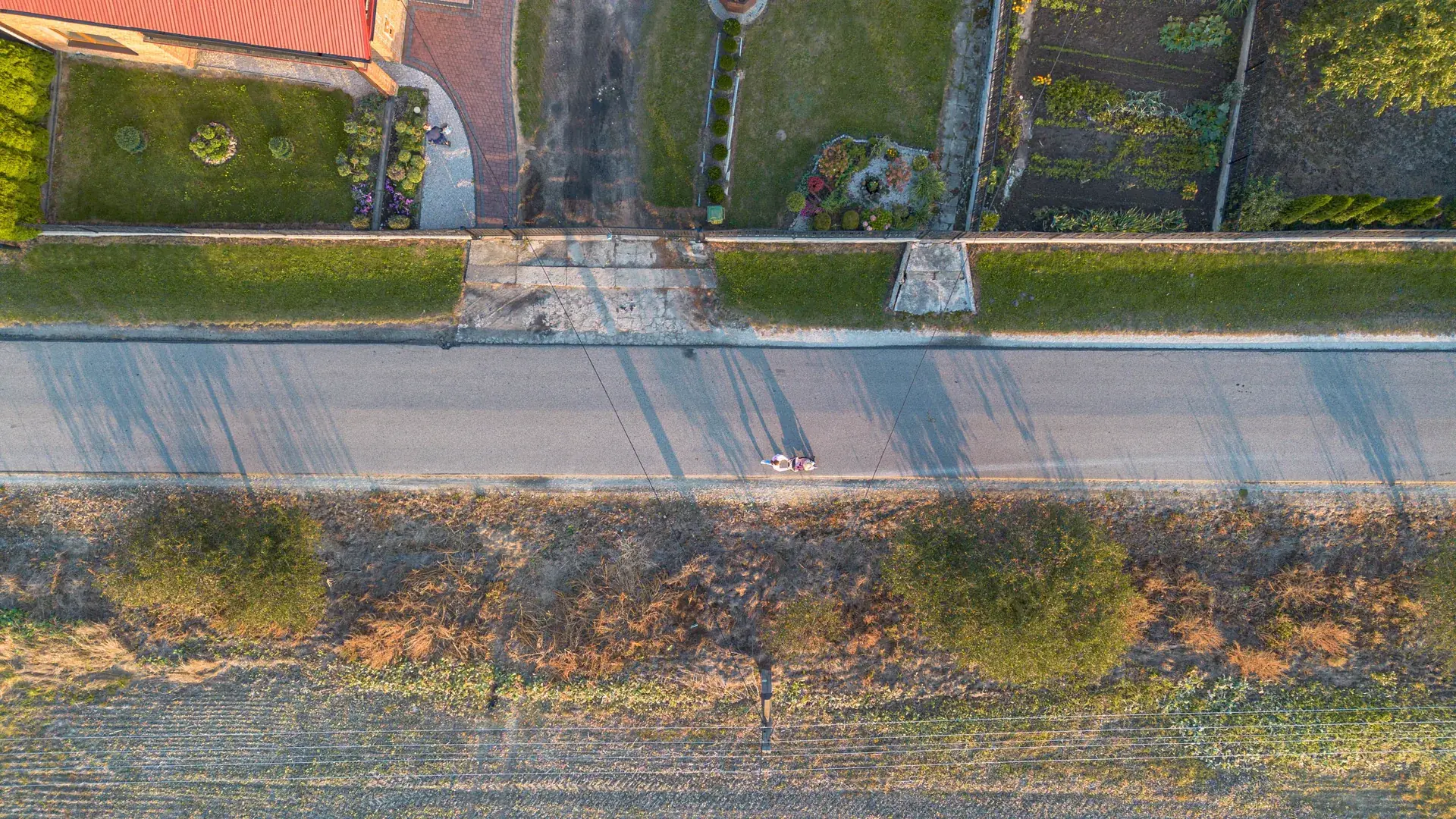 Działy serwisu Podniebnik